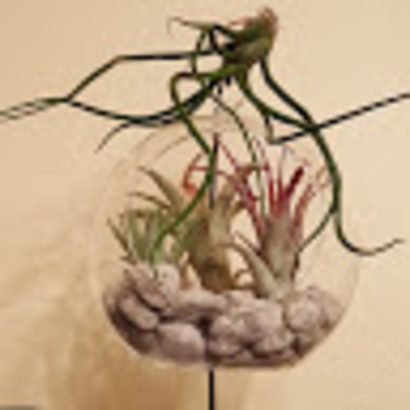 Amazing Threads - Picture 2 of 3